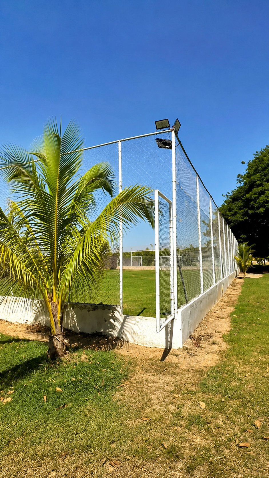 La cancha
