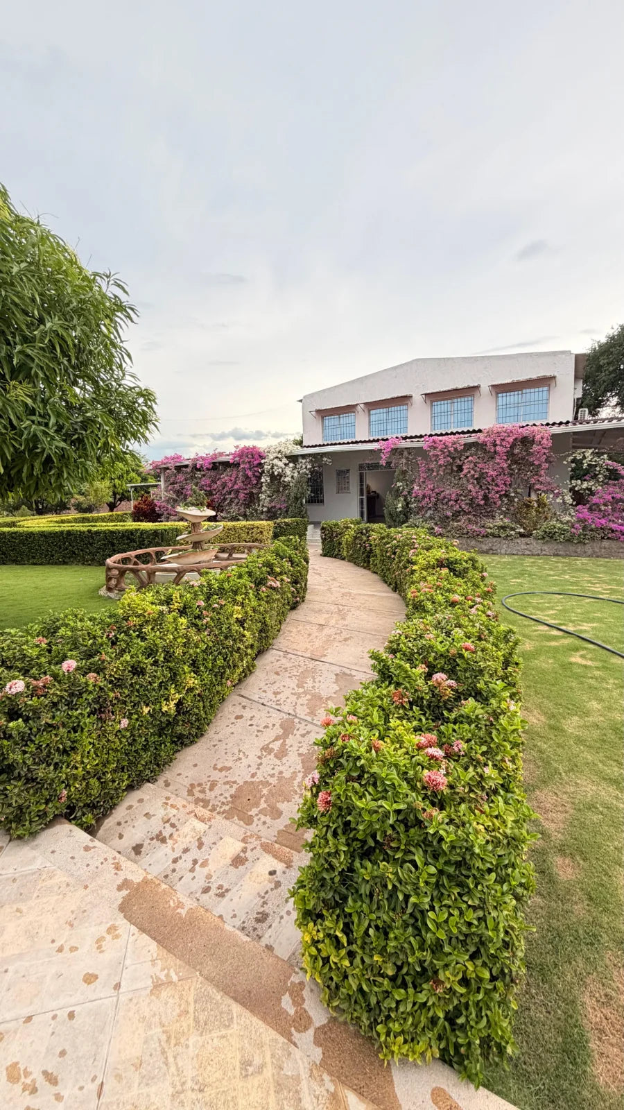 Los jardines