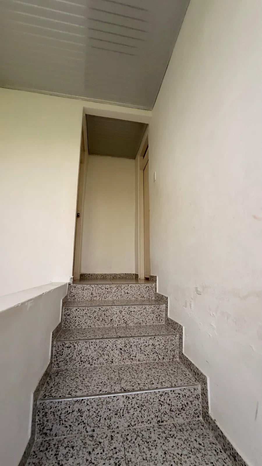Tramo superior de la escalera que llega a un pasillo con puerta.