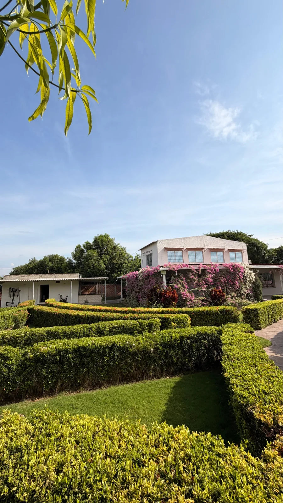 Jardín de setos geométricos frente a la casa blanca con buganvilias bajo el cielo azul.