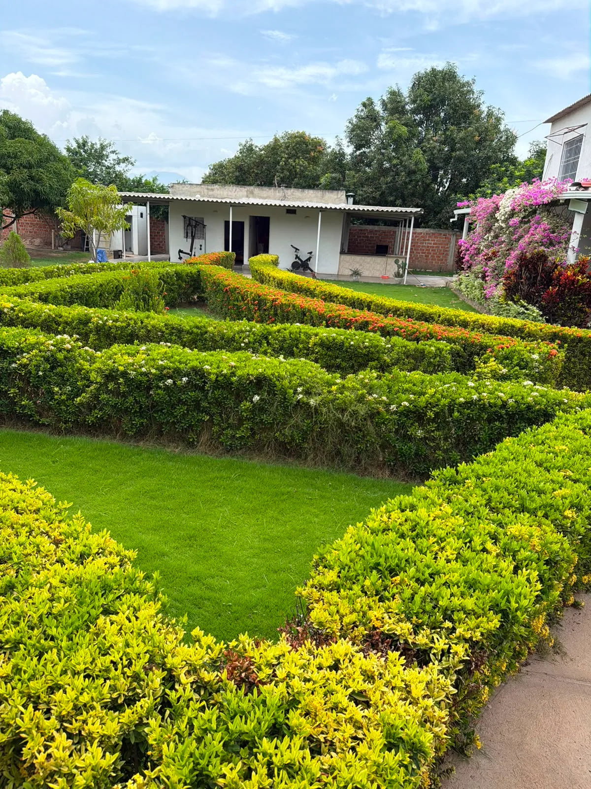 Jardín de setos geométricos frente a un anexo bajo y la casa con buganvilias.