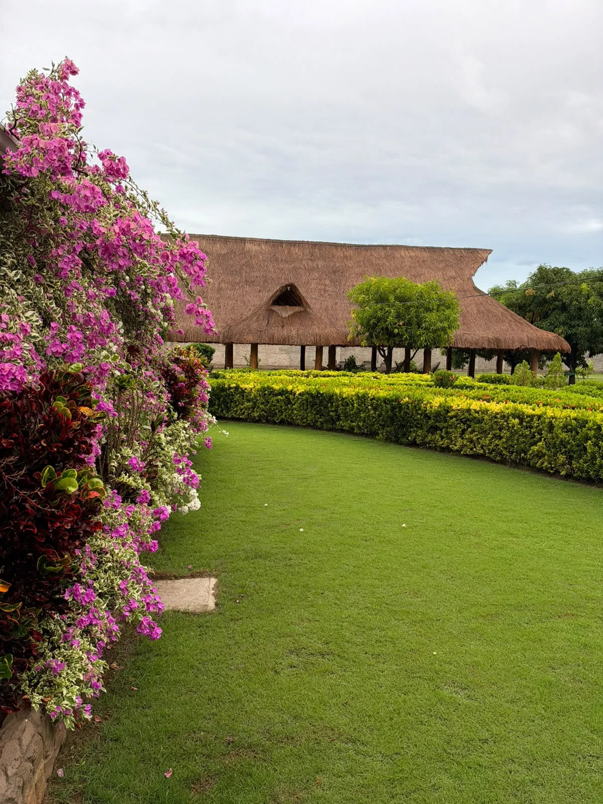 Vista del kiosco tras césped y setos junto a buganvilias